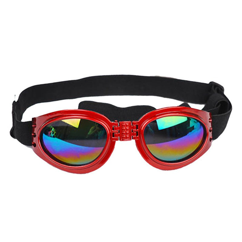 Pet Dog, Cat, Sunglasses