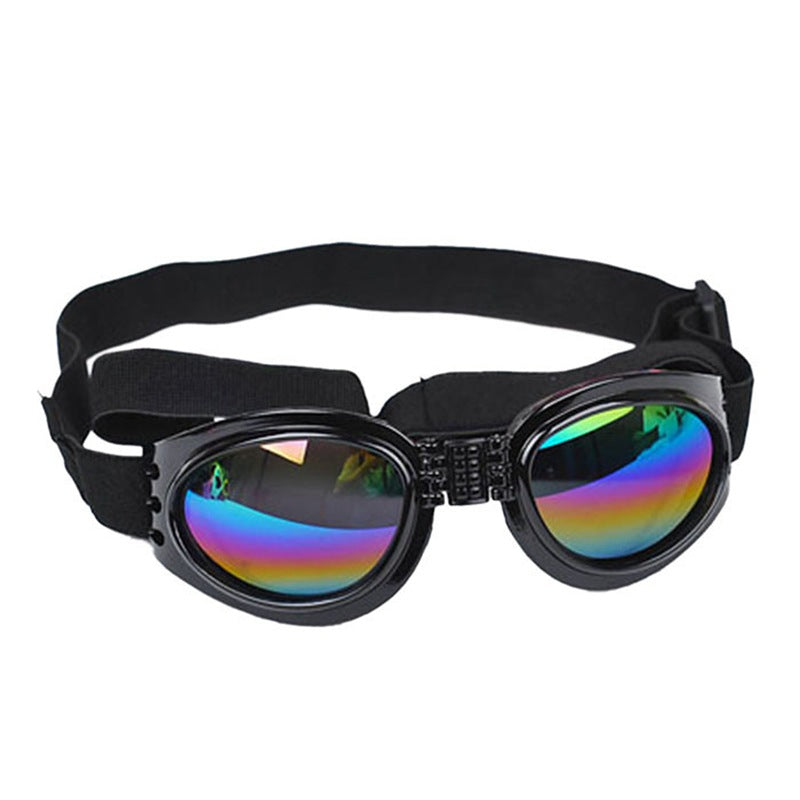 Pet Dog, Cat, Sunglasses