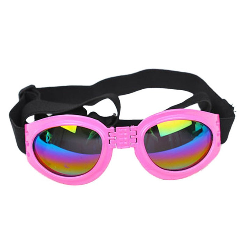 Pet Dog, Cat, Sunglasses
