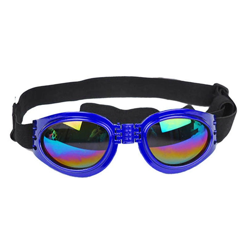 Pet Dog, Cat, Sunglasses