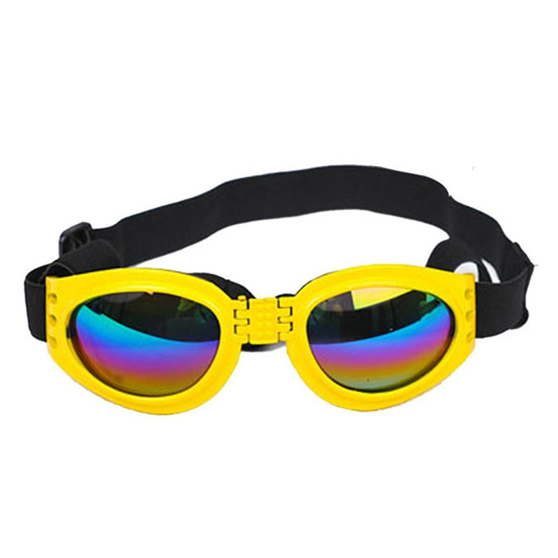 Pet Dog, Cat, Sunglasses