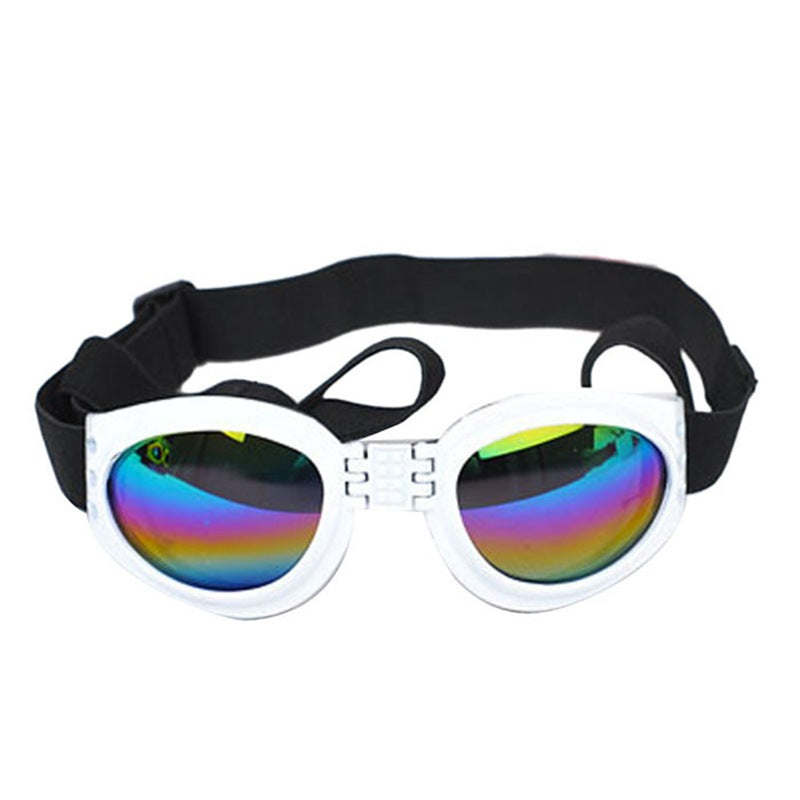 Pet Dog, Cat, Sunglasses